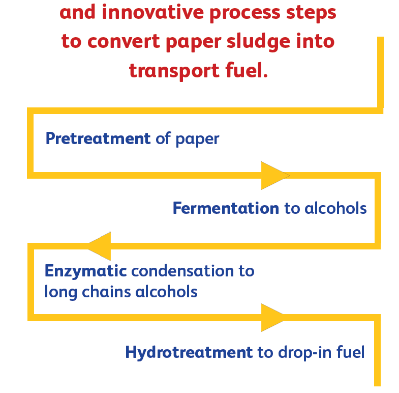 CO2 Footprint